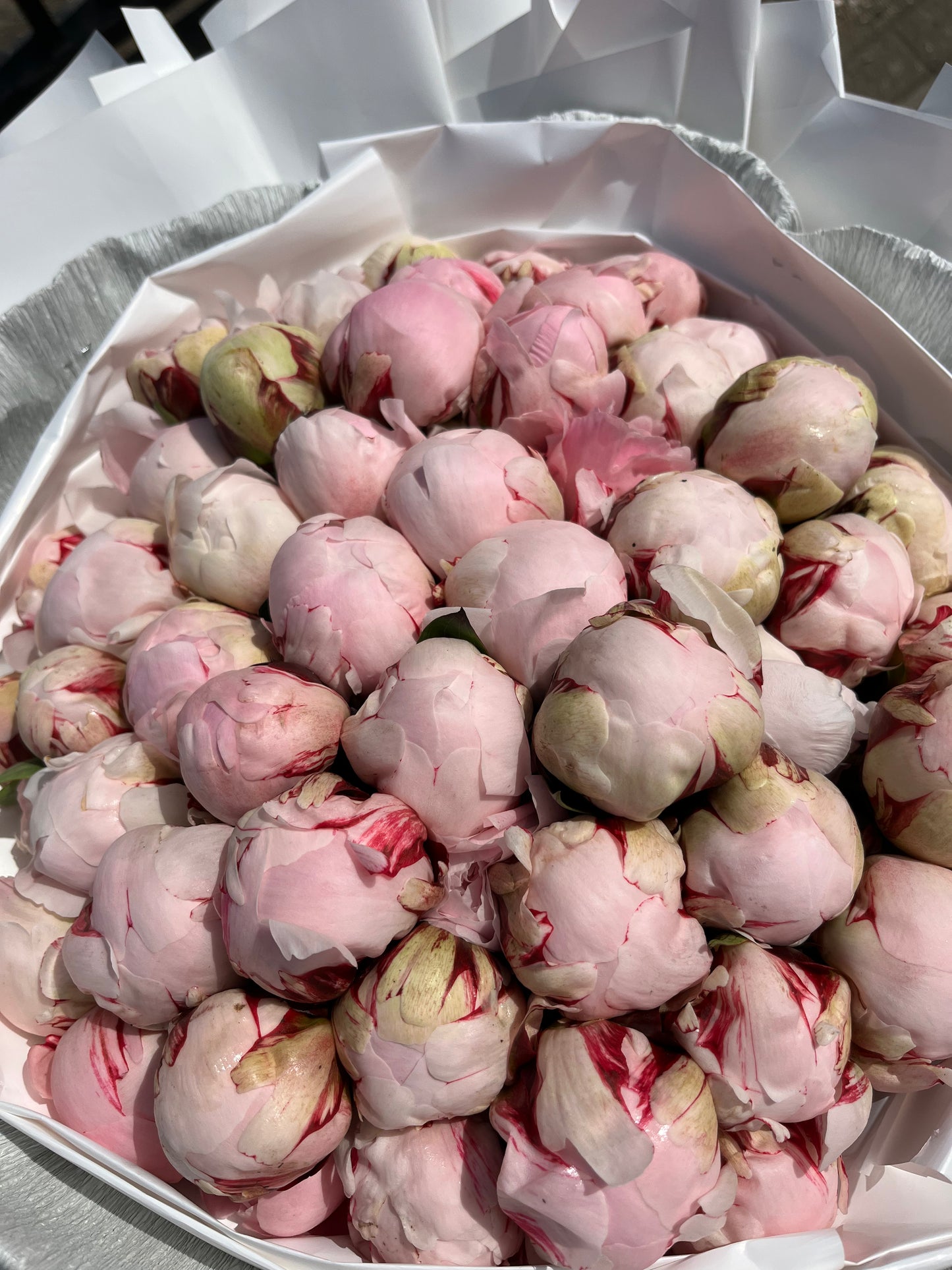 Peonies